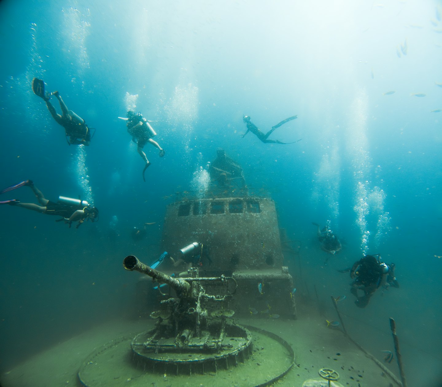 Penyelam scuba dan penyelam bebas menjelajahi bangkai kapal bawah air yang besar.