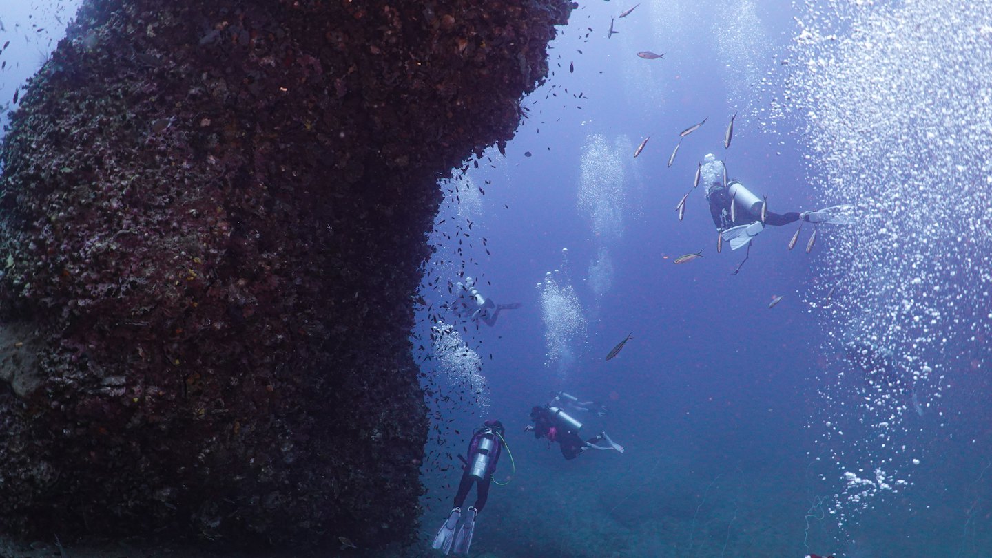 Penyelam scuba berenang melewati terumbu karang yang penuh ikan.