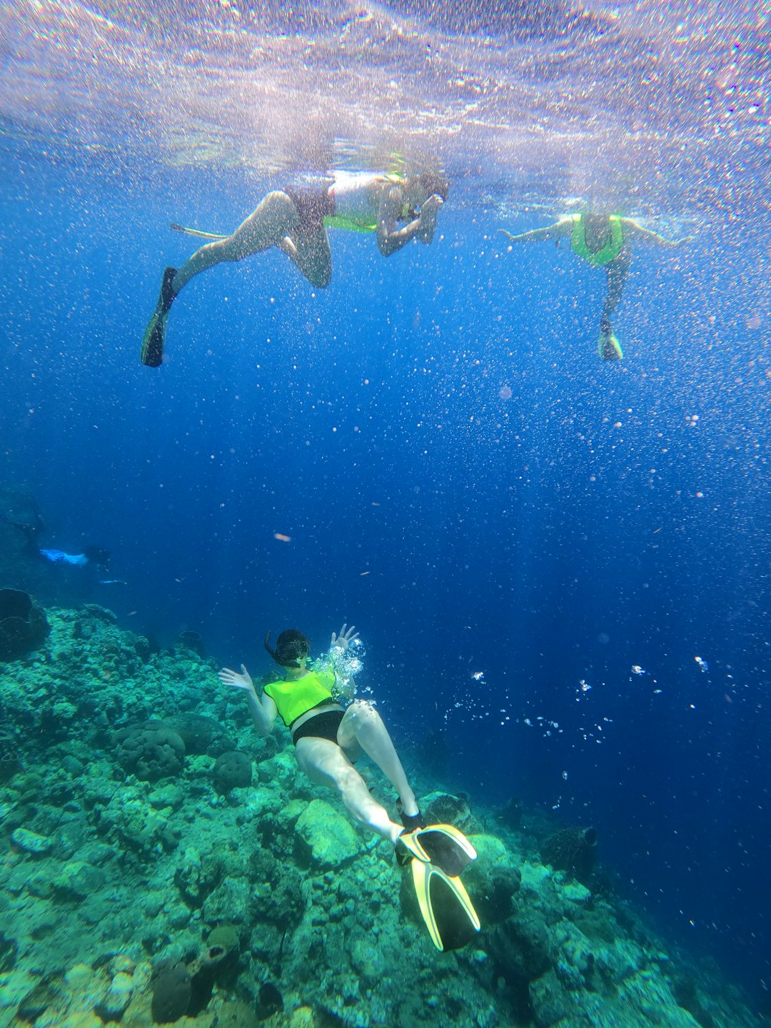 Tiga orang freediving di air laut biru jernih di atas karang.